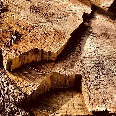 Ferienhaus Espectacular Rosales De Gredos Hoyos del Espino