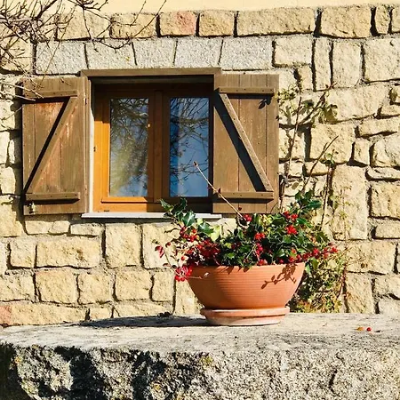 Espectacular Rosales De Gredos Ferienhaus Hoyos del Espino