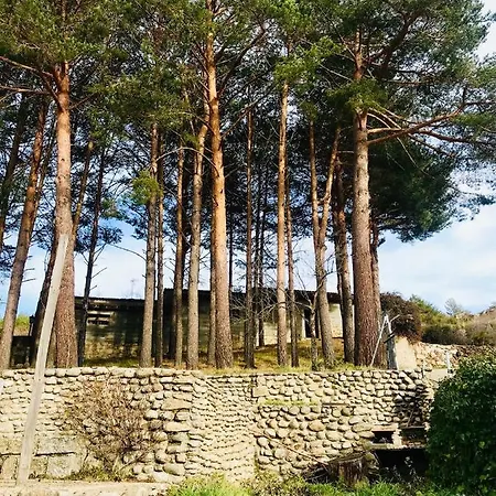 Espectacular Rosales De Gredos *